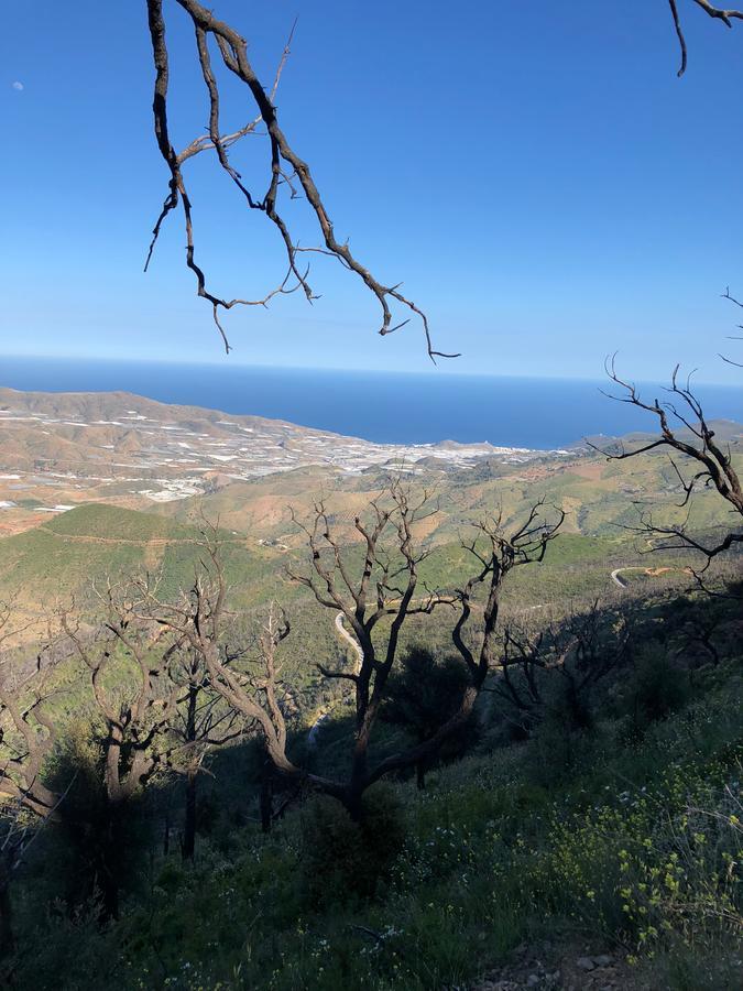 Cortijo Sancardo Pension Lujar Buitenkant foto